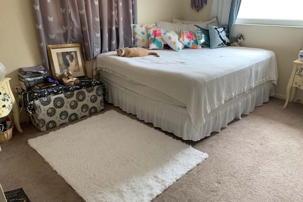Junovo Ultra Soft Fluffy Carpets for Bedroom1